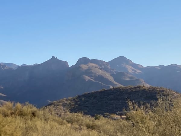 Forming a new reality after summiting the academic mountain